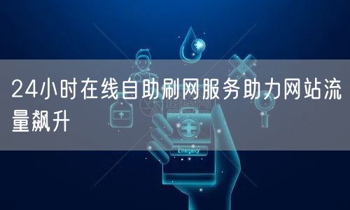 24小时在线自助刷网服务助力网站流量飙升