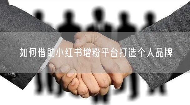 如何借助小红书增粉平台打造个人品牌