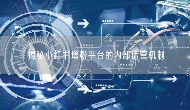 揭秘小红书增粉平台的内部运营机制