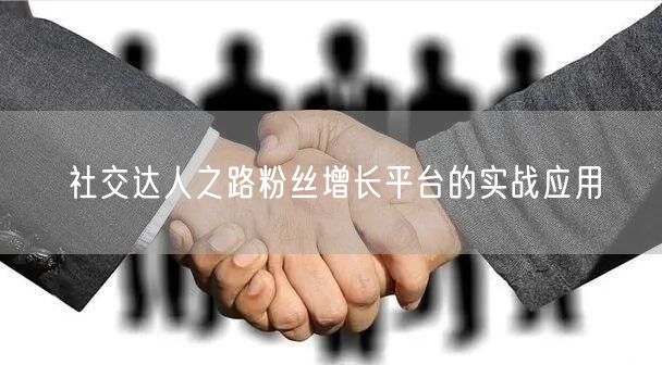 社交达人之路粉丝增长平台的实战应用