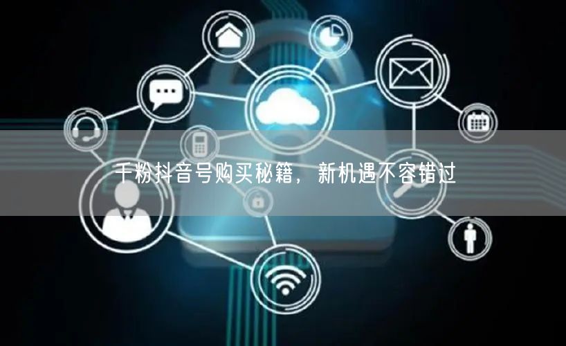 千粉抖音号购买秘籍，新机遇不容错过