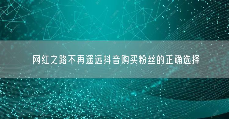 网红之路不再遥远抖音购买粉丝的正确选择