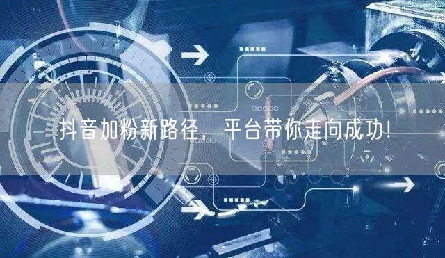 抖音加粉新路径，平台带你走向成功！