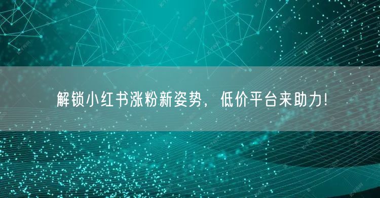 解锁小红书涨粉新姿势，低价平台来助力！