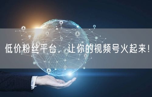低价粉丝平台，让你的视频号火起来！