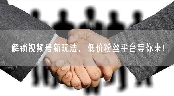 解锁视频号新玩法，低价粉丝平台等你来！