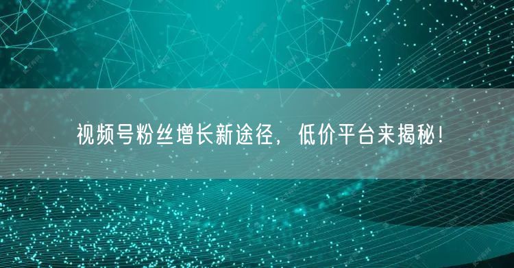 视频号粉丝增长新途径，低价平台来揭秘！