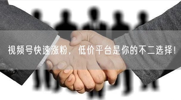 视频号快速涨粉，低价平台是你的不二选择！