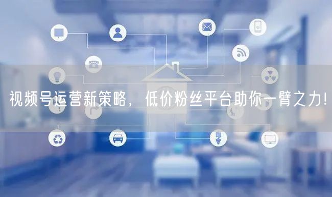 视频号运营新策略，低价粉丝平台助你一臂之力！