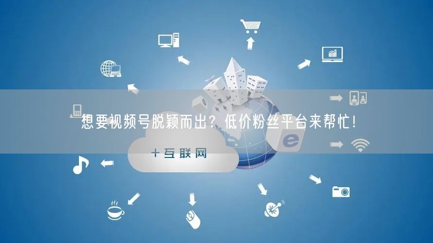 想要视频号脱颖而出？低价粉丝平台来帮忙！