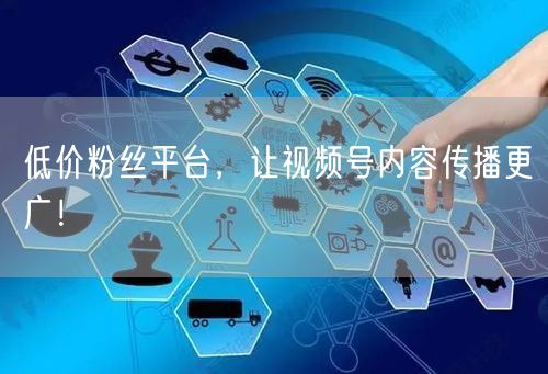 低价粉丝平台，让视频号内容传播更广！
