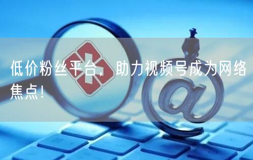 低价粉丝平台，助力视频号成为网络焦点！