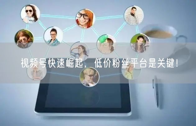 视频号快速崛起，低价粉丝平台是关键！