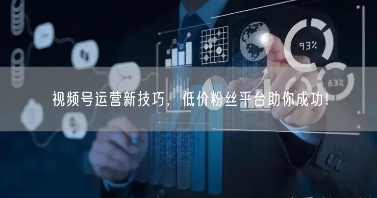 视频号运营新技巧，低价粉丝平台助你成功！