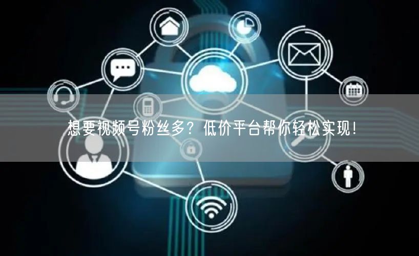 想要视频号粉丝多？低价平台帮你轻松实现！