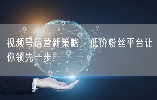 视频号运营新策略，低价粉丝平台让你领先一步！