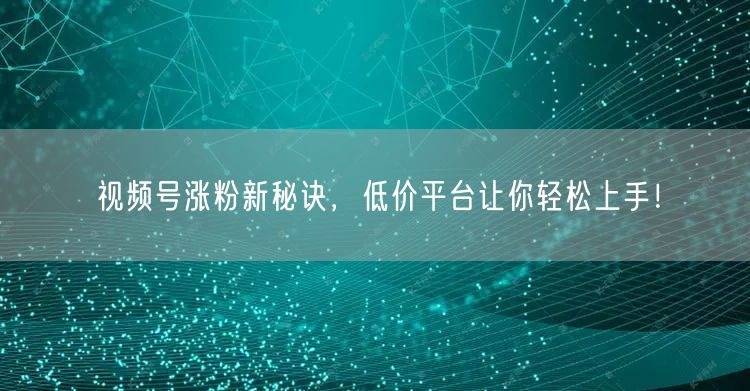 视频号涨粉新秘诀，低价平台让你轻松上手！