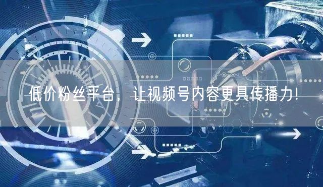 低价粉丝平台，让视频号内容更具传播力！