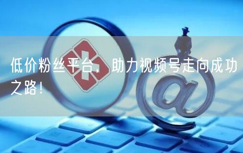 低价粉丝平台，助力视频号走向成功之路！